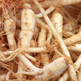 Ginseng
