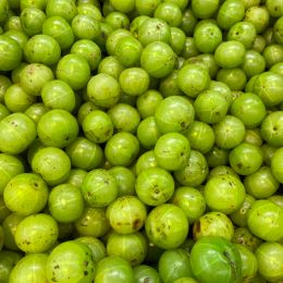 Olio di amla